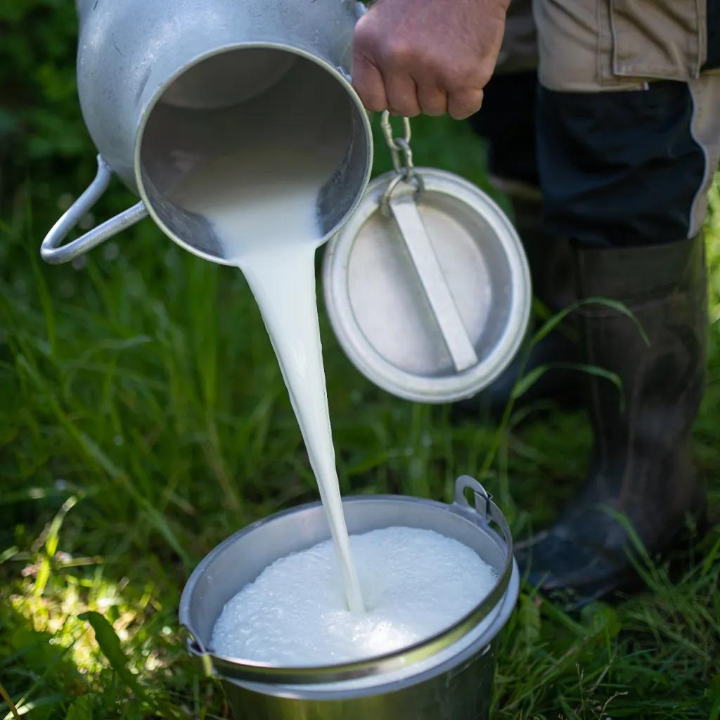 Butter Cups 2 Gram | Chefs' Warehouse