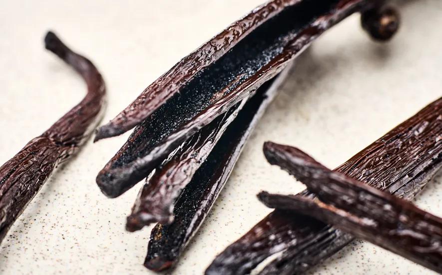 NOROHY Vanilla Pods – A World of Exceptional Flavour
