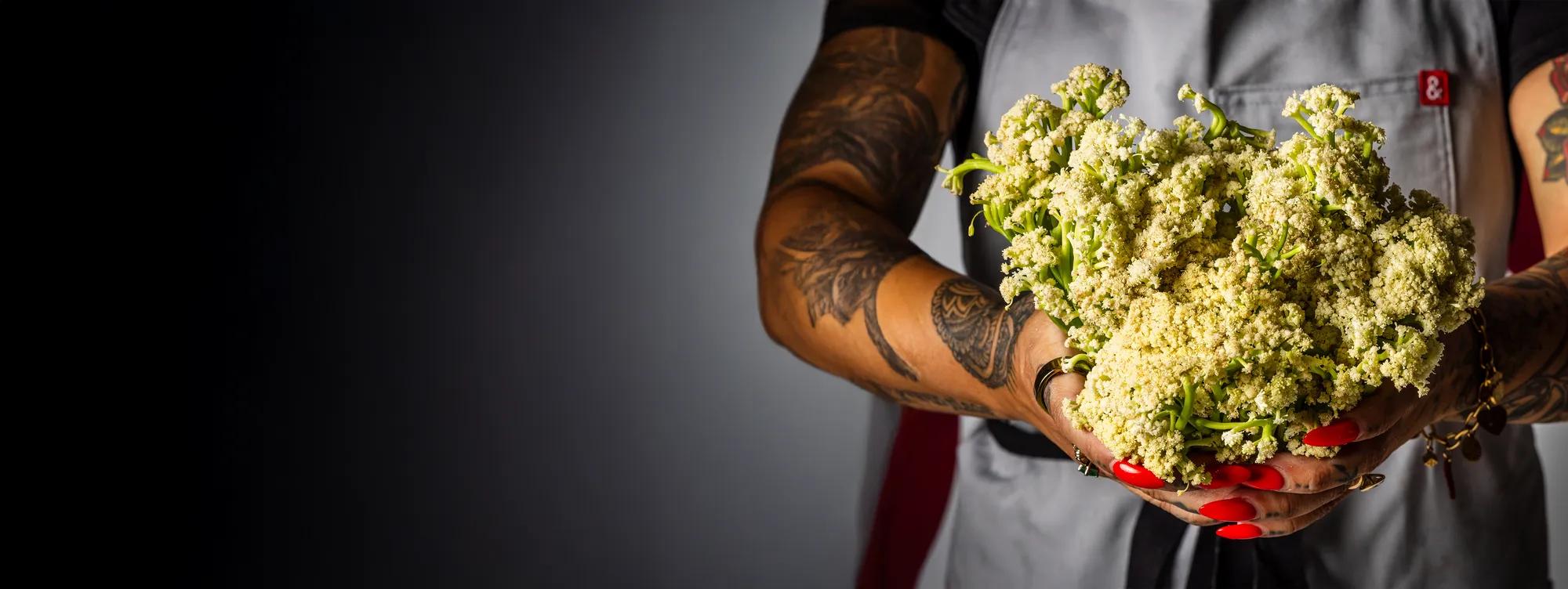 Specialty Food Supply for Restaurants | Chefs' Warehouse